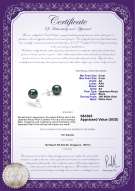 Product certificate: AK-B-AA-89-E