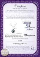 Product certificate: AK-B-AA-89-P-Dionne