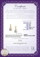 Product certificate: AK-W-AA-78-E-Georgia