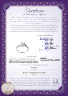 Product certificate: AK-W-AAA-67-R-Andrea