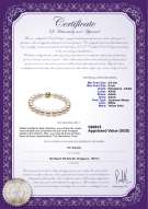 Product certificate: AK-W-AAAA-859-B-Hana-7