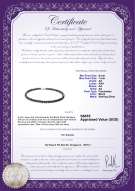Product certificate: B-AA-67-N