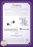 Product certificate: B-AA-78-E-SS