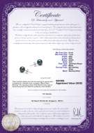 Product certificate: B-AAA-657-E-Akoy