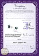 Product certificate: B-AAA-758-E-Akoy