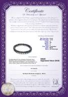 Product certificate: FW-B-A-67-BGB-Bliss