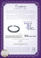 Product certificate: FW-B-A-67-N-DBL