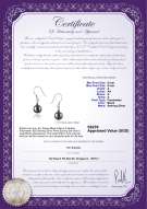Product certificate: FW-B-A-89-E-Teresa