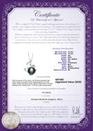 Product certificate: FW-B-AA-1213-P-Oceane