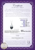 Product certificate: FW-B-AA-1213-P-Tracy