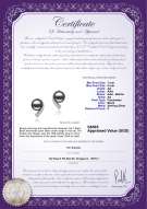 Product certificate: FW-B-AA-78-E-Claudia