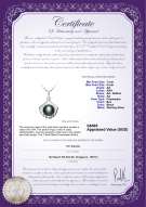 Product certificate: FW-B-AA-78-P-Shell
