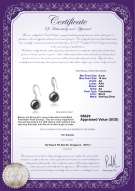 Product certificate: FW-B-AA-910-E-Holly