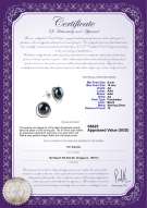 Product certificate: FW-B-AA-910-E-Kelly