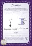 Product certificate: FW-B-AA-910-P-Alicia
