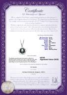 Product certificate: FW-B-AA-910-P-Bobbie