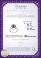 Product certificate: FW-B-AA-910-R-Sadie