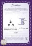 Product certificate: FW-B-AA-910-S-Kelly