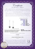 Product certificate: FW-B-AAAA-67-E-Misha