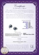 Product certificate: FW-B-AAAA-78-E-Angelina