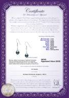 Product certificate: FW-B-AAAA-78-E-Sandra