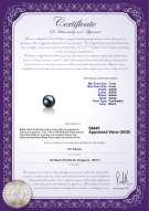 Product certificate: FW-B-AAAA-78-L1