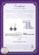 Product certificate: FW-B-AAAA-89-E-Elements