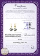 Product certificate: FW-B-AAAA-89-E-Illuminate