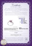 Product certificate: FW-L-AAA-67-R-Dana