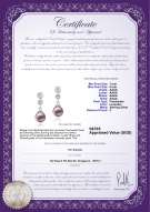 Product certificate: FW-L-AAAA-78-E-Colleen