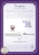 Product certificate: FW-L-AAAA-910-L1
