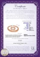 Product certificate: FW-P-A-67-S-DBL