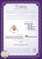 Product certificate: FW-P-AA-910-R-Chantel