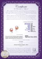 Product certificate: FW-P-AAA-56-E-Dolphin