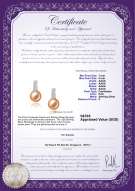 Product certificate: FW-P-AAAA-78-E-Valery