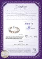 Product certificate: FW-W-A-1011-B