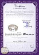 Product certificate: FW-W-A-67-B-DBL