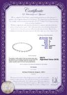 Product certificate: FW-W-A-67-N-Atina