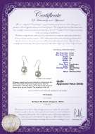 Product certificate: FW-W-A-89-E-Connor