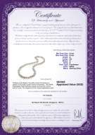 Product certificate: FW-W-A-89-N-Joyce