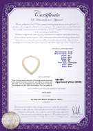 Product certificate: FW-W-AA-34-N-VNECK