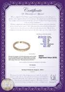 Product certificate: FW-W-AA-556-B