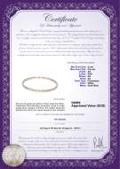 Product certificate: FW-W-AA-556-N