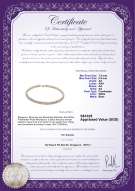 Product certificate: FW-W-AA-7585-N