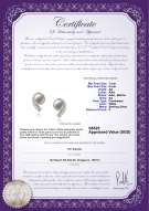 Product certificate: FW-W-AA-78-E-Claudia