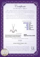 Product certificate: FW-W-AA-910-P-Angel