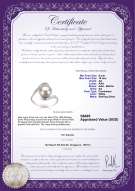 Product certificate: FW-W-AA-910-R-Chantel