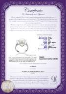 Product certificate: FW-W-AA-910-R-Katie