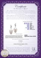 Product certificate: FW-W-AAA-910-E-Deborah