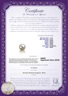 Product certificate: FW-W-AAAA-78-L1